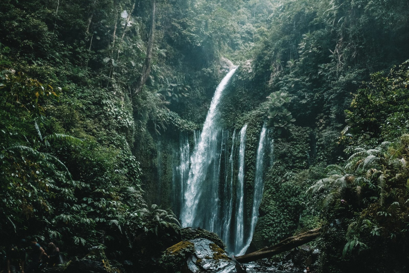 benjamin janos ym99ig7ilra unsplash scaled.jpg